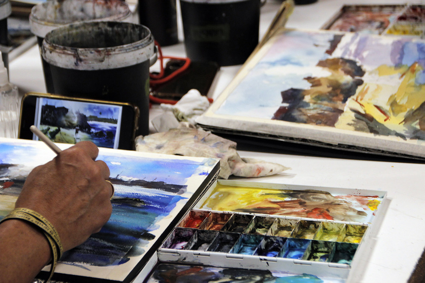 Pict&oacute;rica Bellas Artes 7