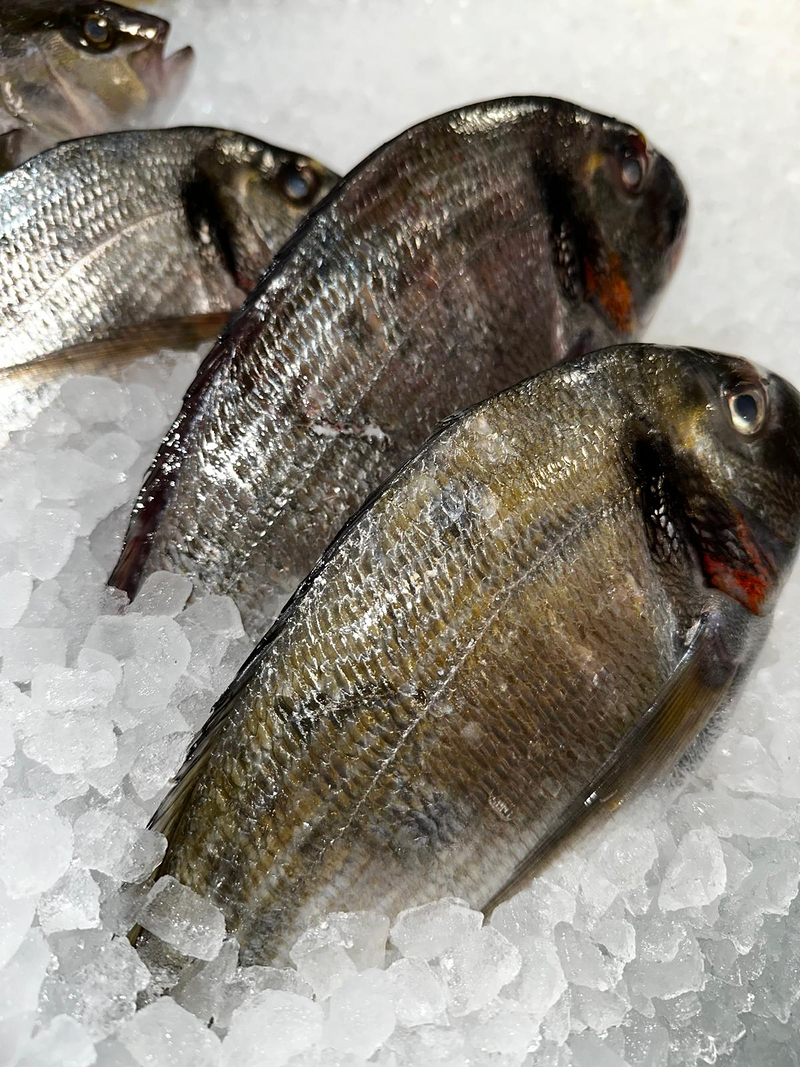 Peixateria de la Iaia Antònia 7