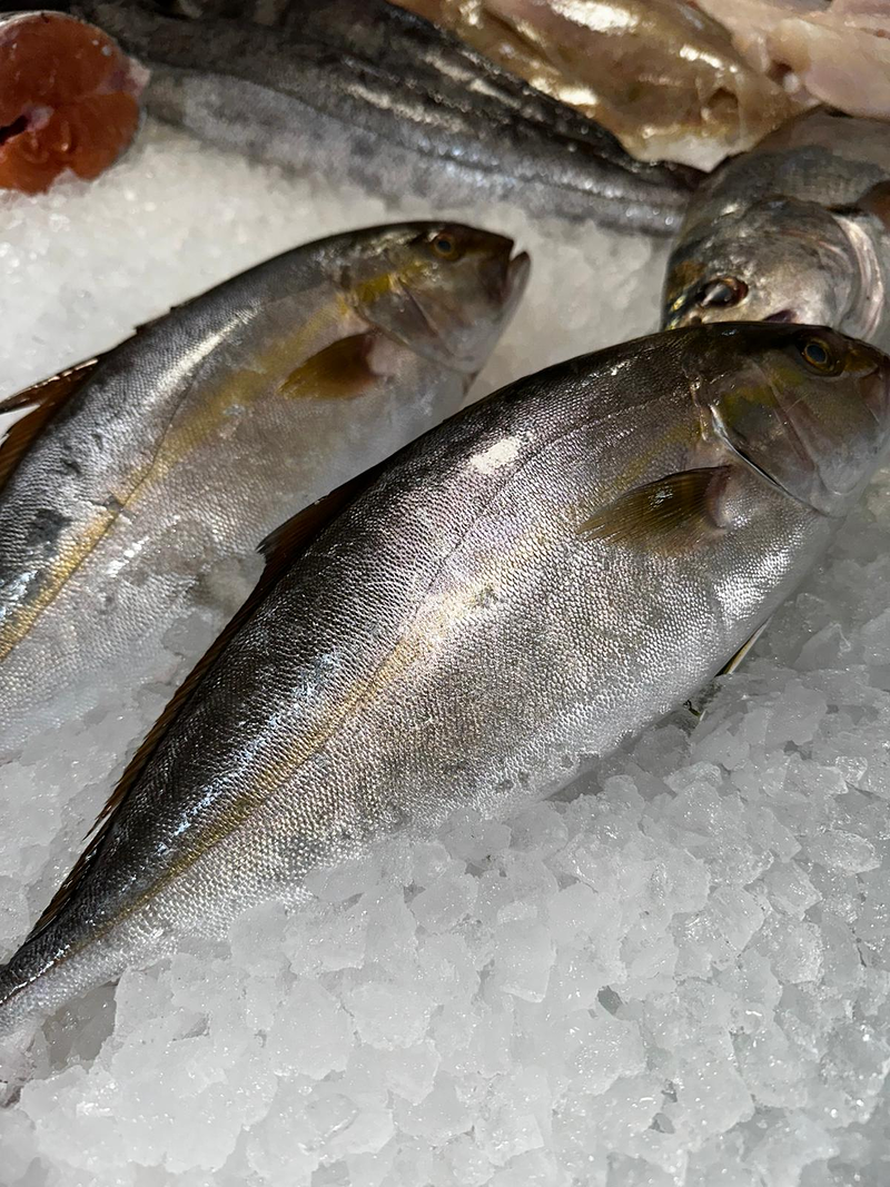 Peixateria de la Iaia Antònia 3