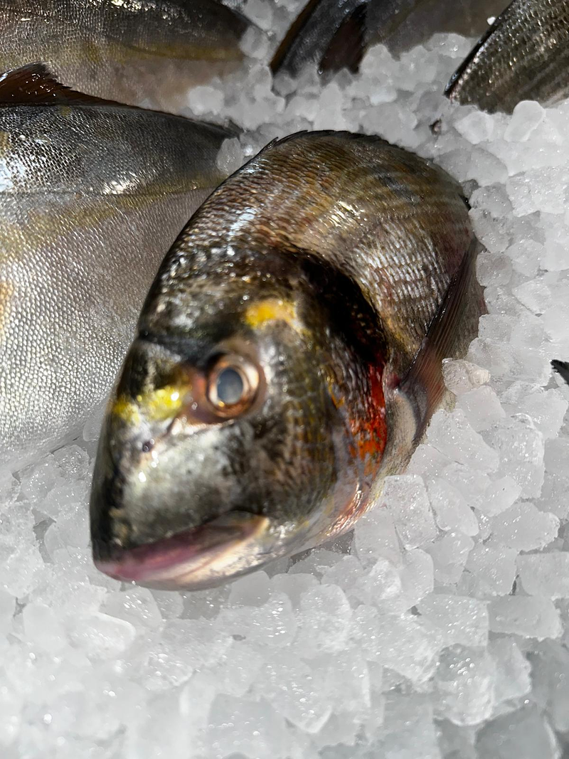 Peixateria de la Iaia Antònia 5