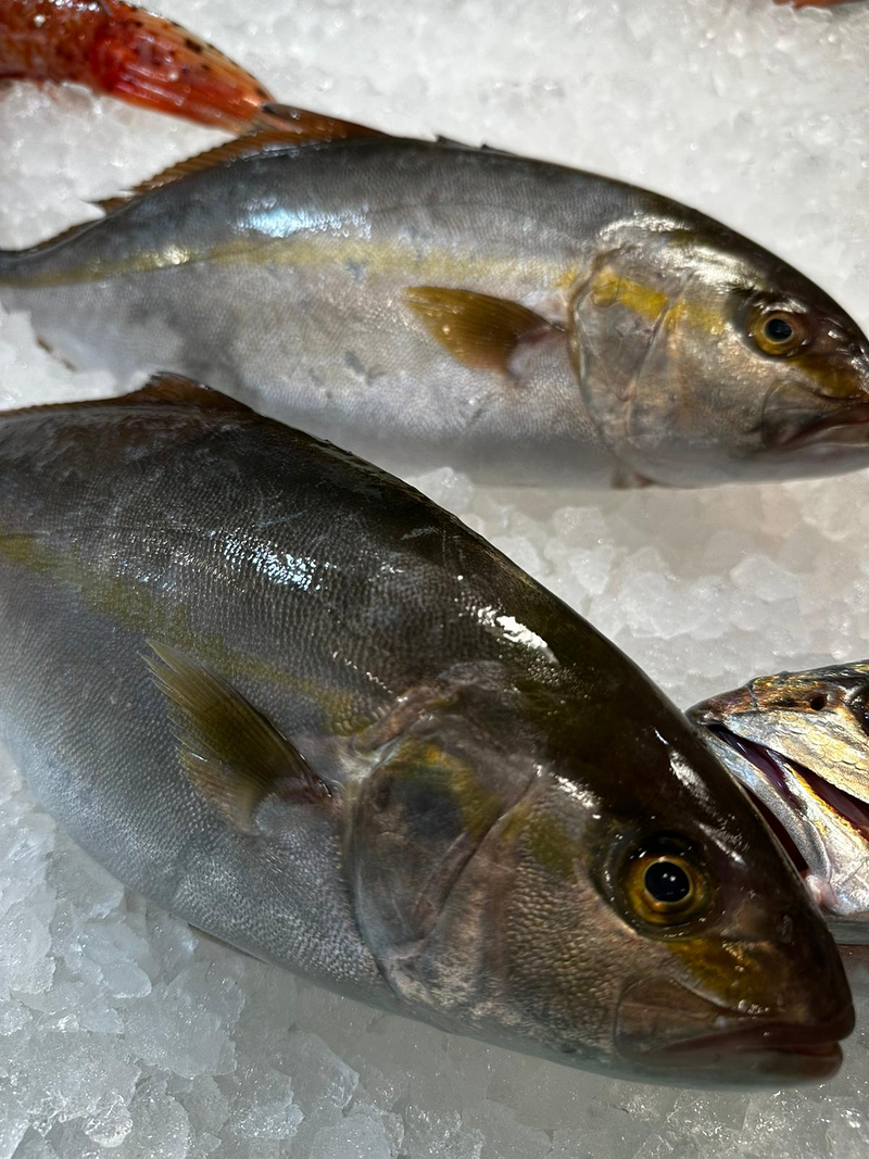 Peixateria de la Iaia Antònia 2