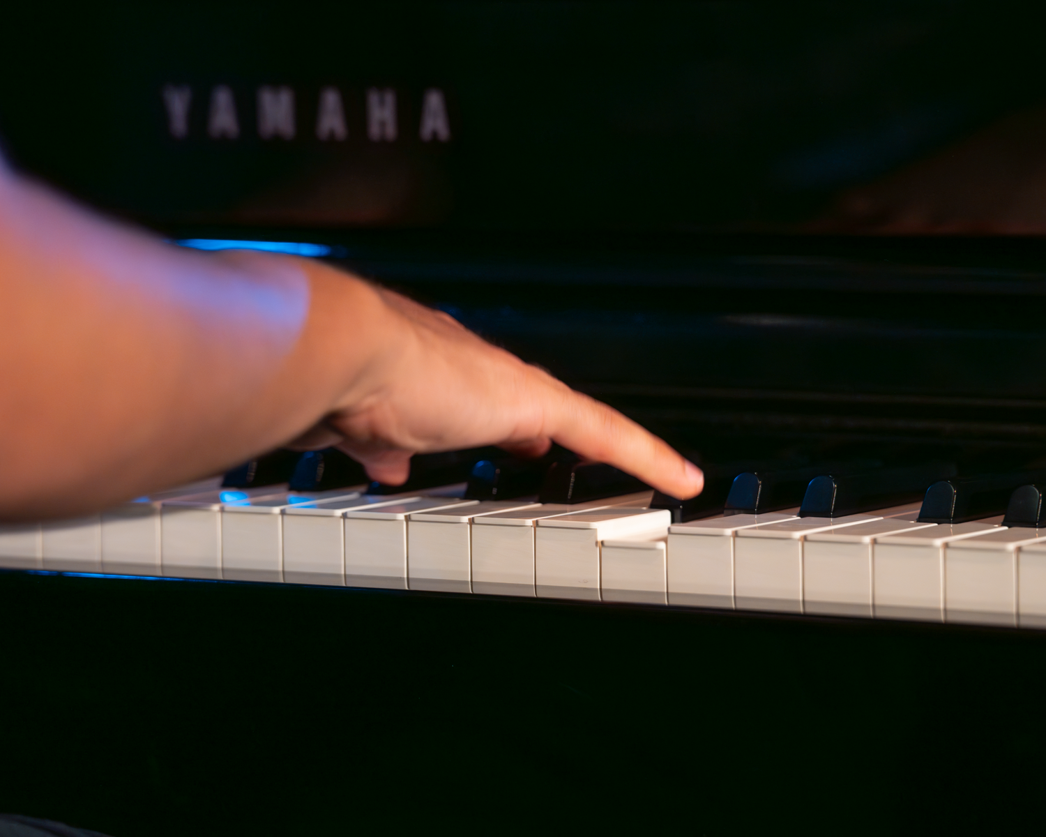 Galería de imágenes