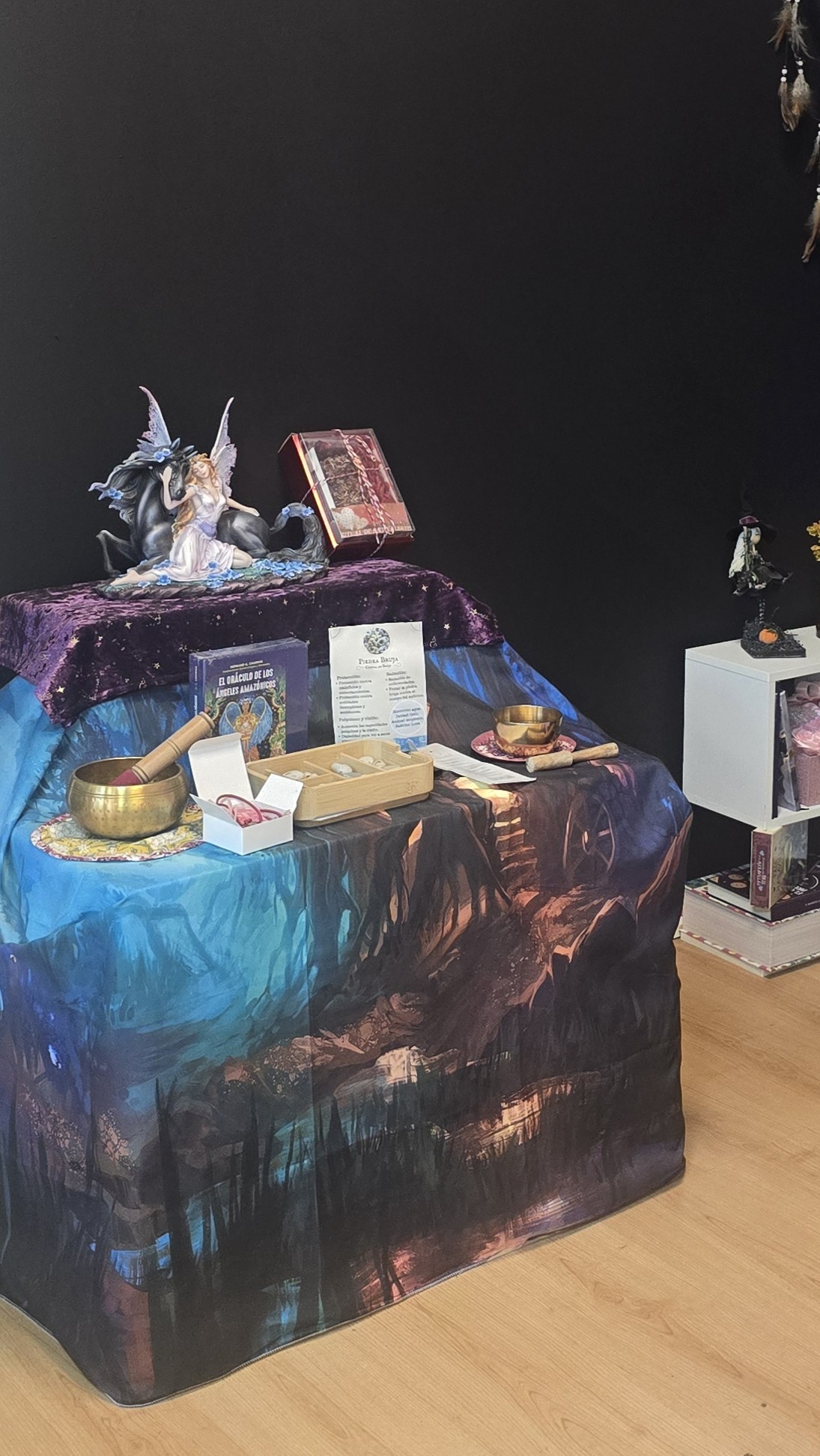 El mundo mágico de diosa luna 10