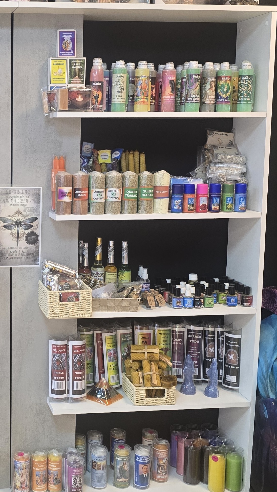 El mundo mágico de diosa luna 9