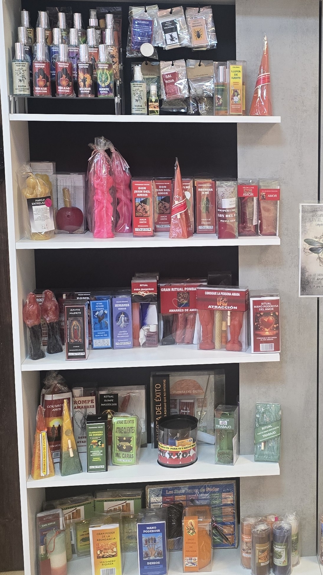 El mundo mágico de diosa luna 8