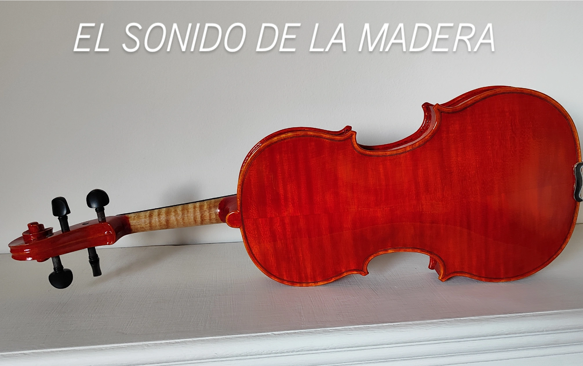Arte de Luthier 14