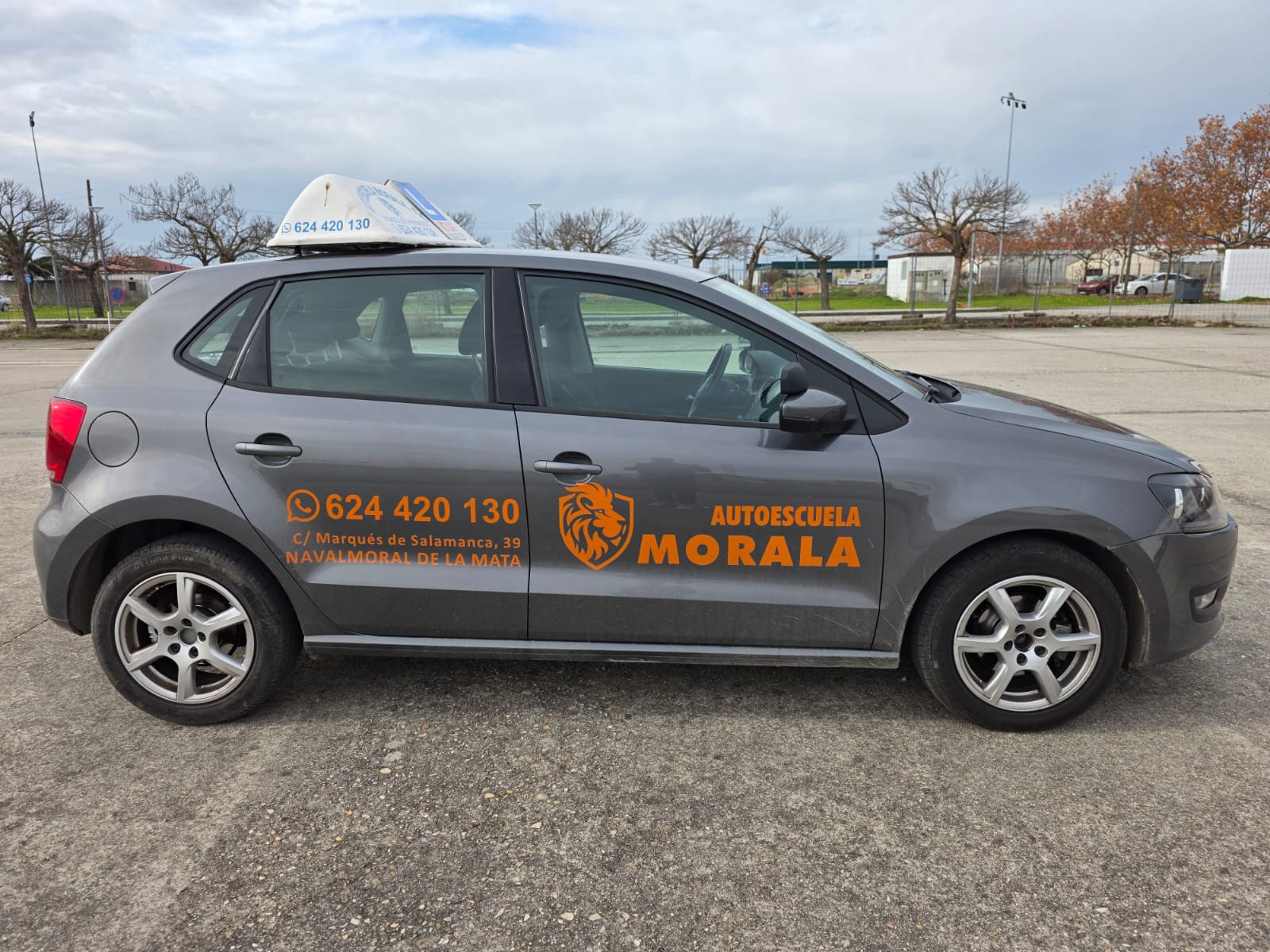 Galería de imágenes