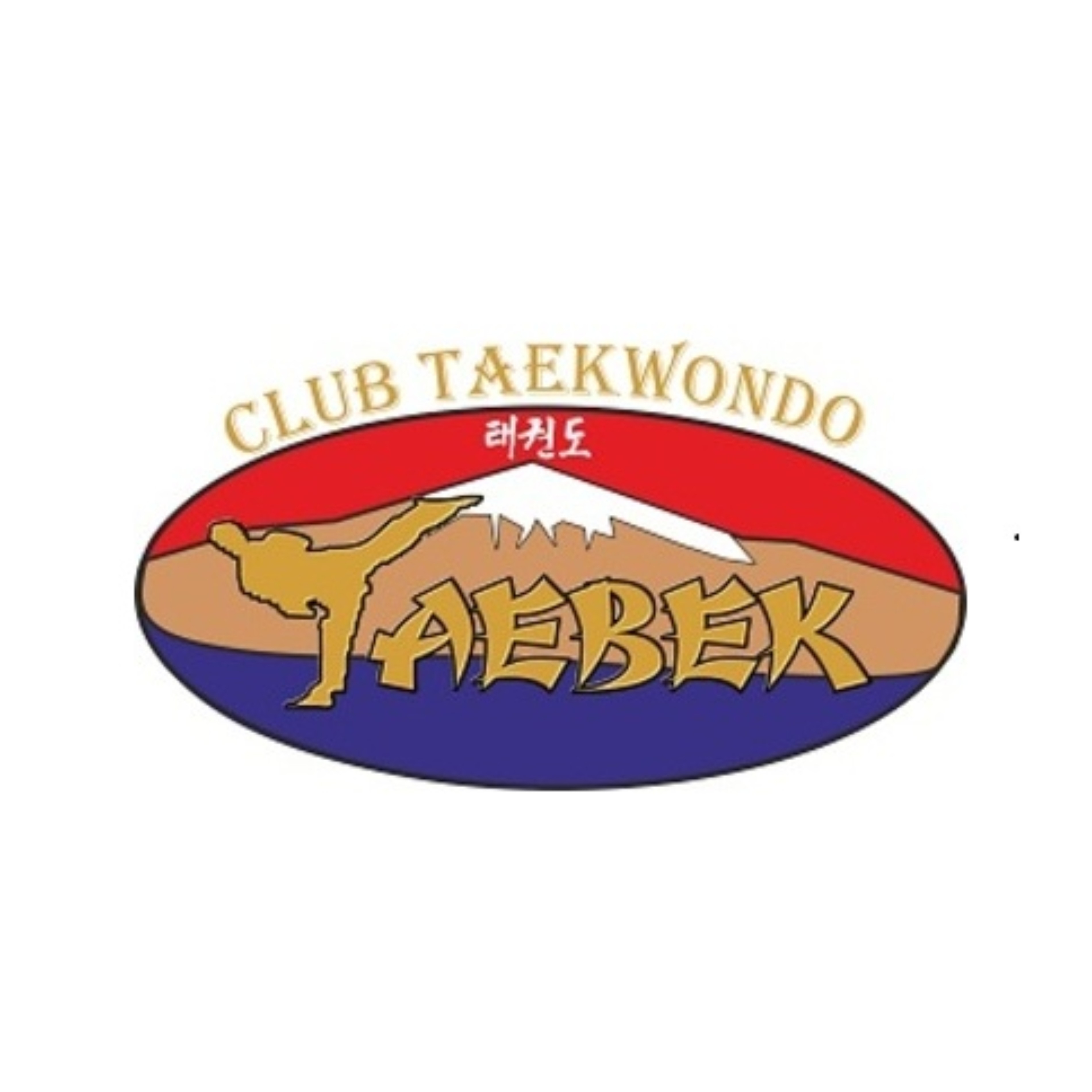 Taekwondo Taebek