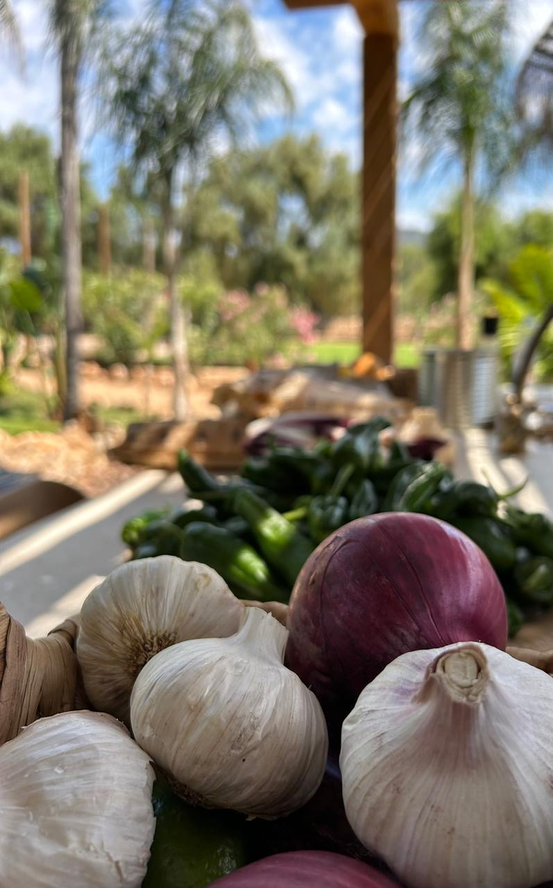 Diego Chef Privado 8