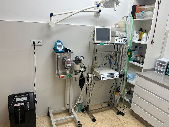 Veterinaria Sanivet 3