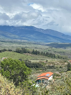 Galería de imágenes