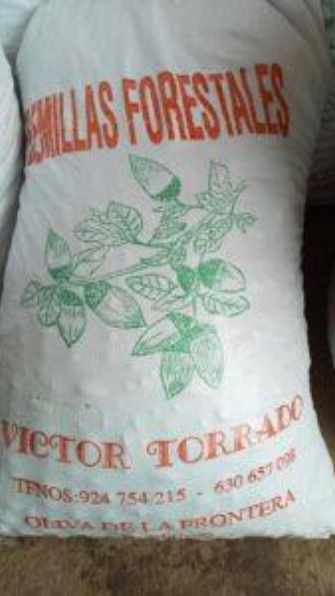 Servicios Forestales Victor Torrado 13