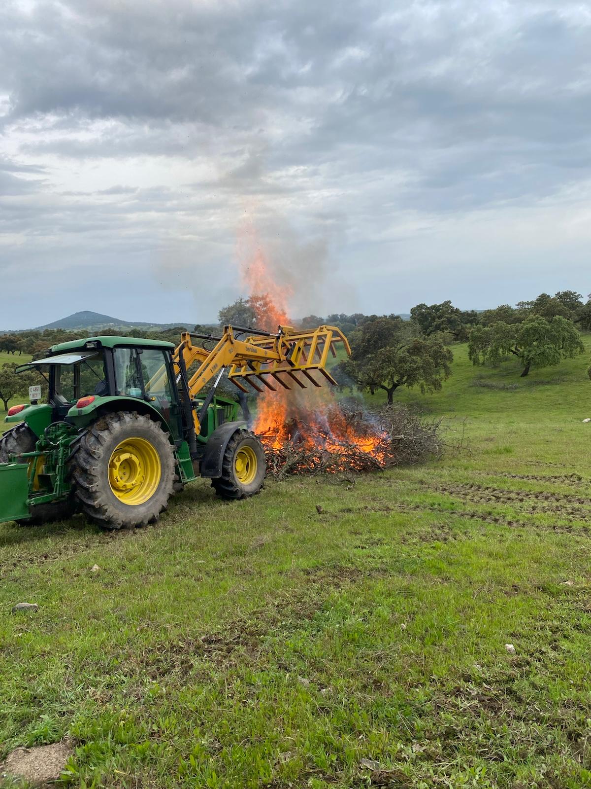 Servicios Forestales Victor Torrado 11