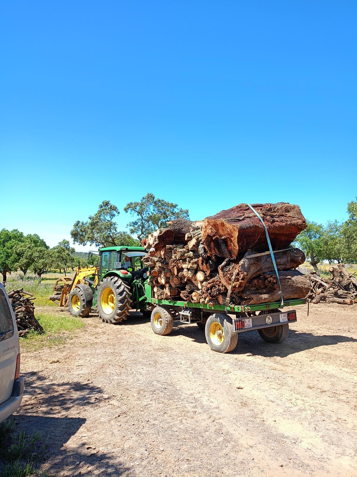 Servicios Forestales Victor Torrado 4