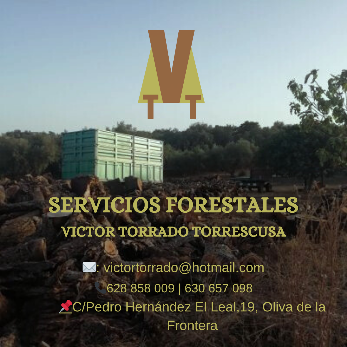 Servicios Forestales Victor Torrado 29
