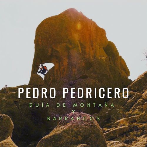 Pedro Pedricero Guía