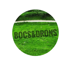 Bocsidrons.Cat