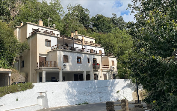 Galería de imágenes