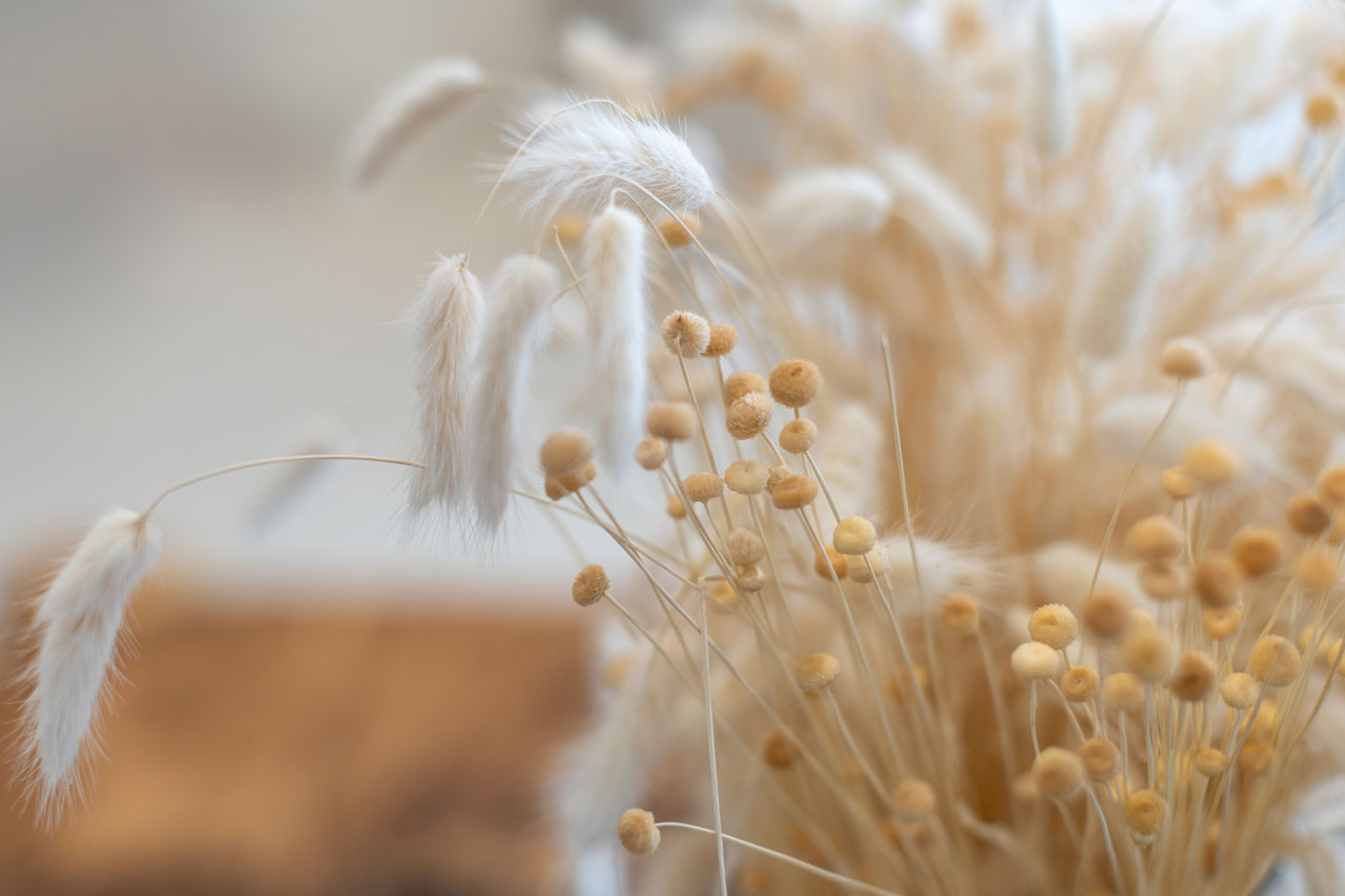 The Luscombe Clinic S.L.