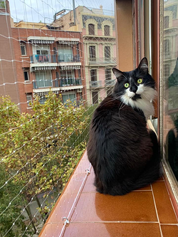 Galería de imágenes