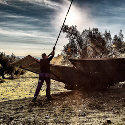 Galería de imágenes