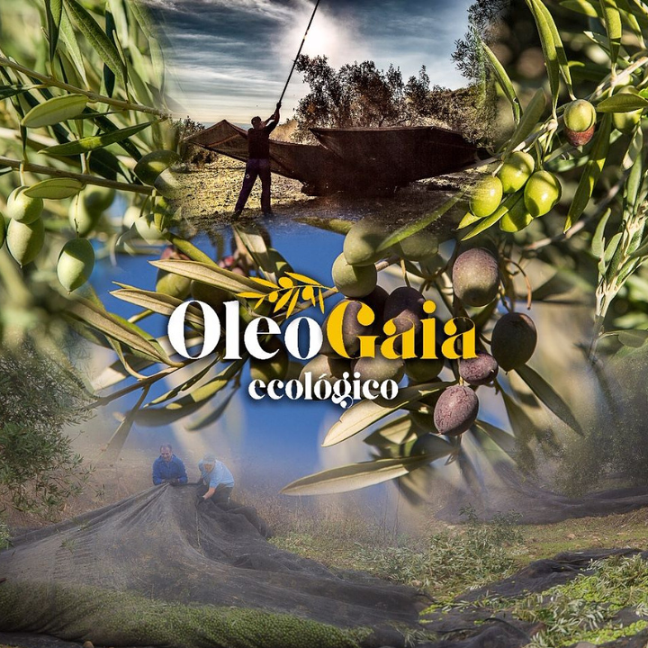 OleoGaia Ecol&oacute;gico ACEITES DE OLIVA