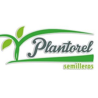 Semilleros Plantorel