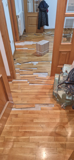 Galería de imágenes