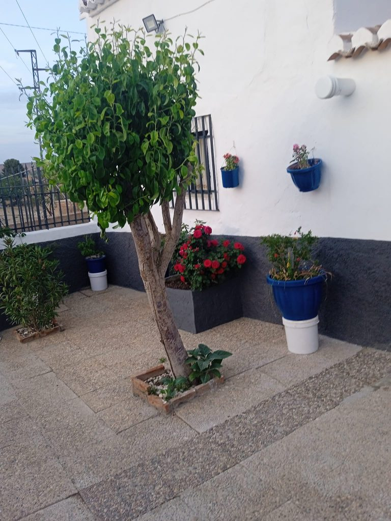 La Cueva de Guadix 2