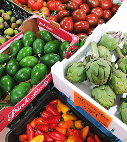 Galería de imágenes