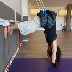 Galería de imágenes