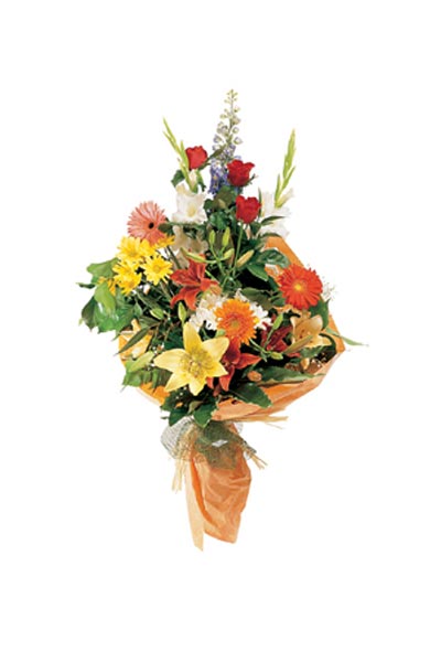 Florister&iacute;a Hortensia FLORISTERIAS