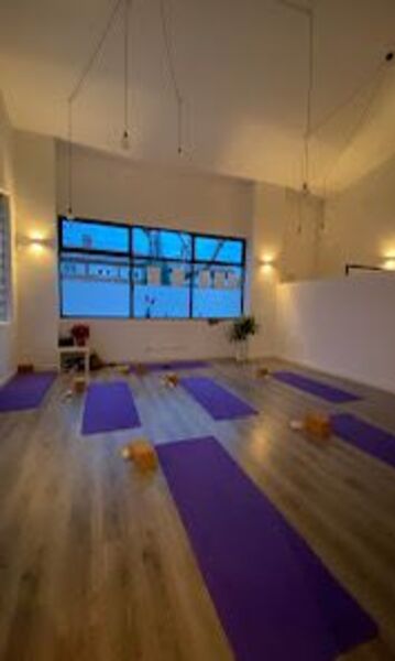 Ana Barbero centro integral Pilates y Yoga 11