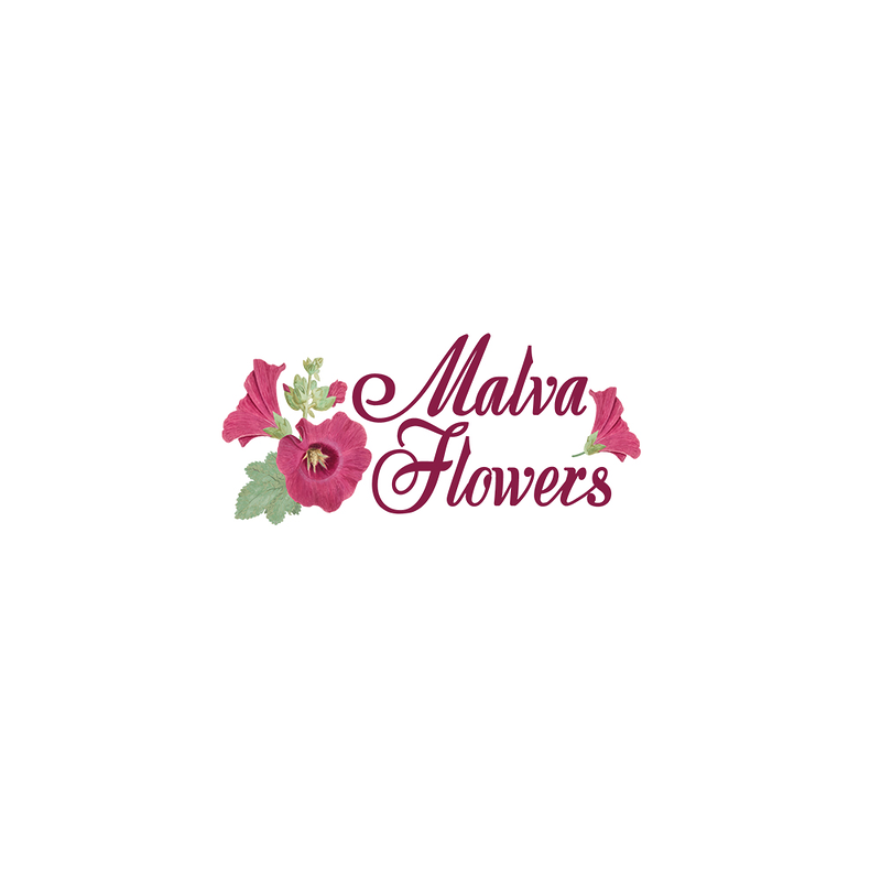 Malva Flowers