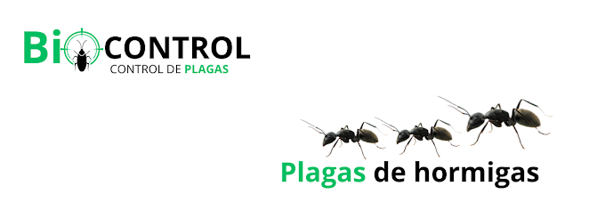 Control de Plagas BioControl 4