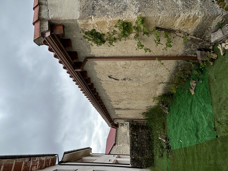 Canalones Diez Jose 12