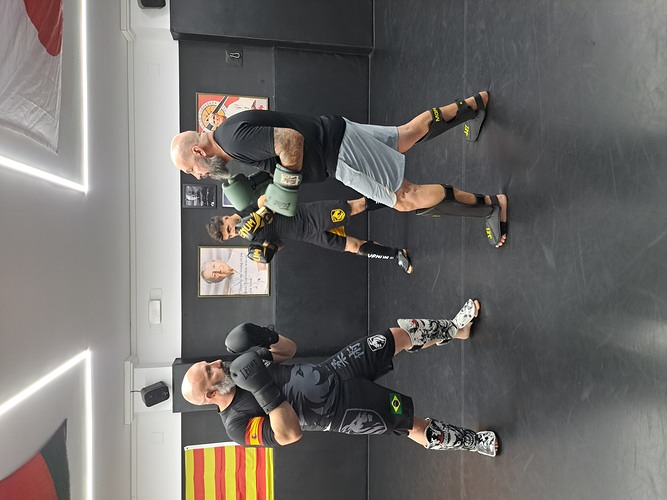 La Guardia Guerreros 2