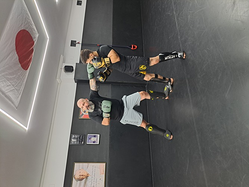 Galería de imágenes