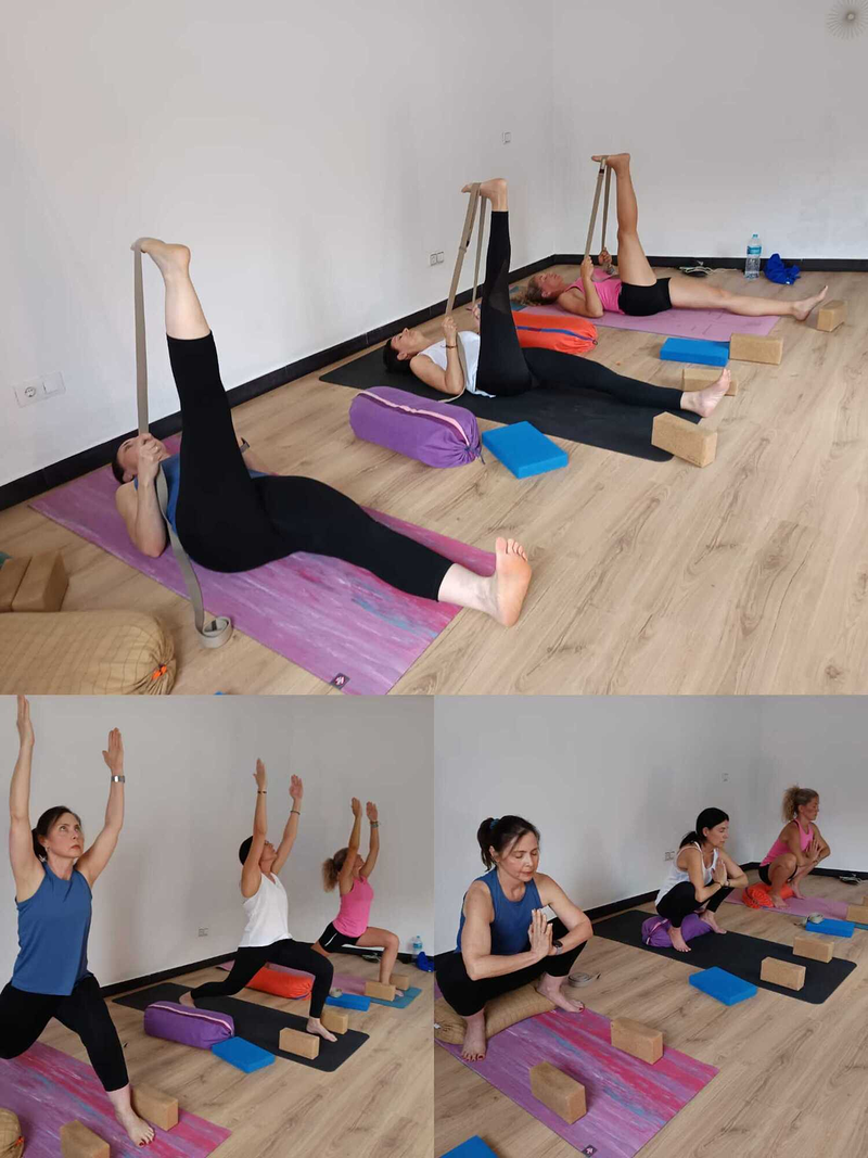 Sonia Aihara Hatha Yoga 6