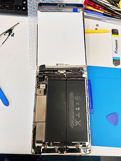 Galería de imágenes