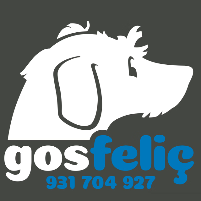 Gos Feliç
