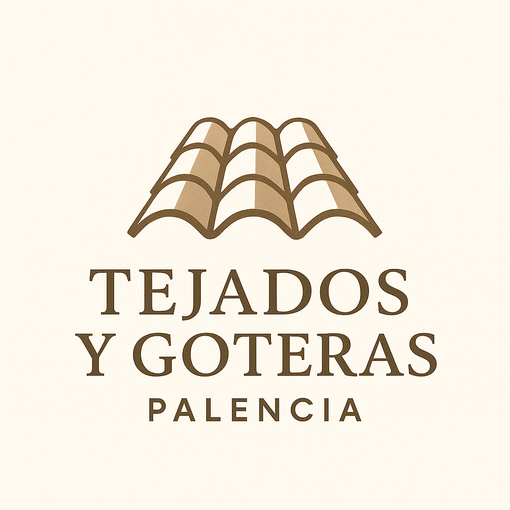Tejados Y Goteras Palencia