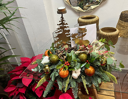 Galería de imágenes