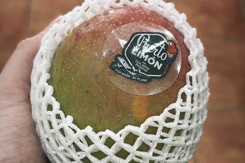 Fruter&iacute;a La Pera 8