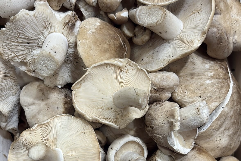 Fruter&iacute;a La Pera 2