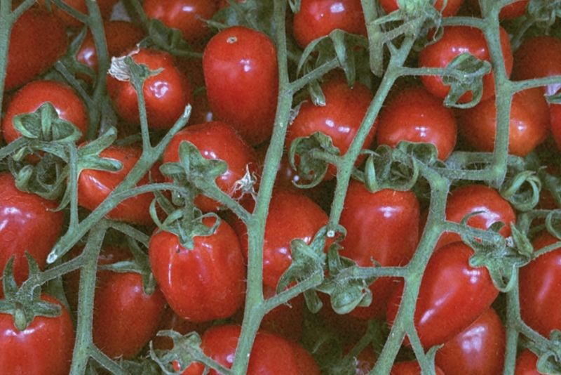 Fruter&iacute;a La Pera 4