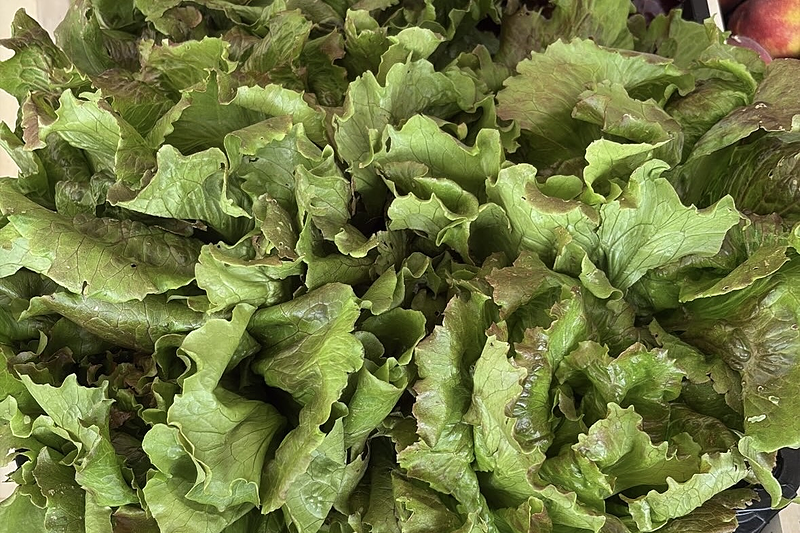 Fruter&iacute;a La Pera 5