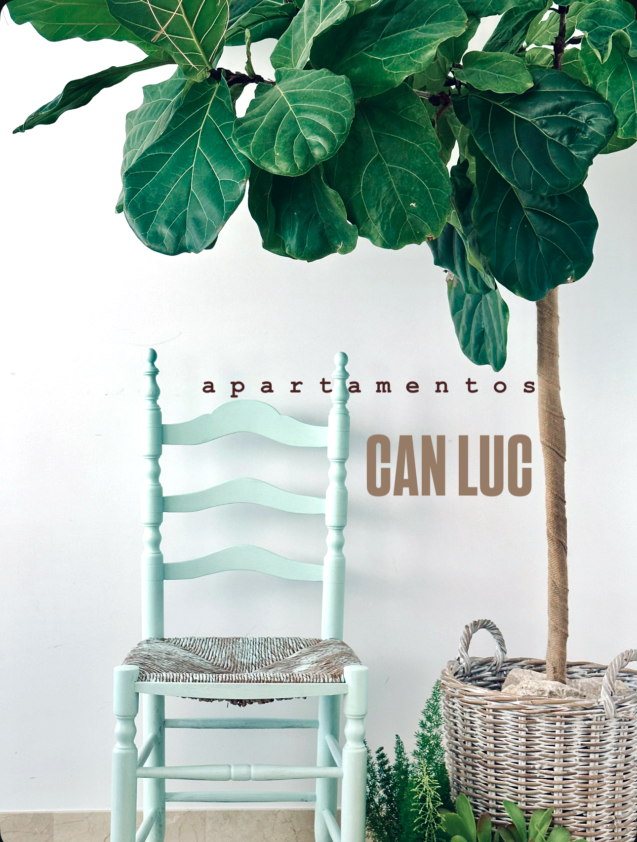 Can Luc Altea