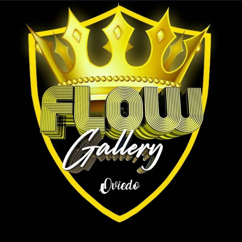 Flow Gallery Oviedo