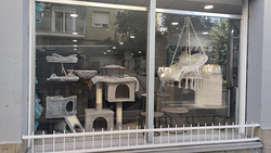 Imagen de Primera i Segona Mà Stock